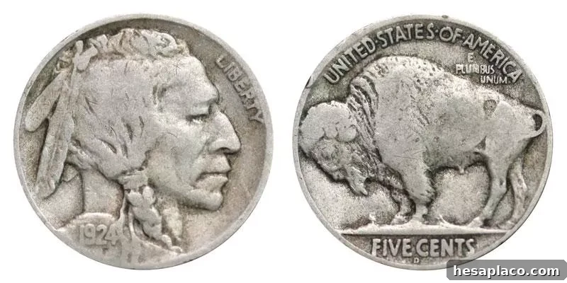 1924 D Buffalo Nickel