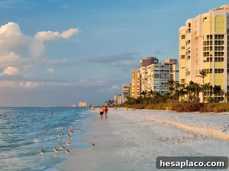 Beach in Naples, Florida