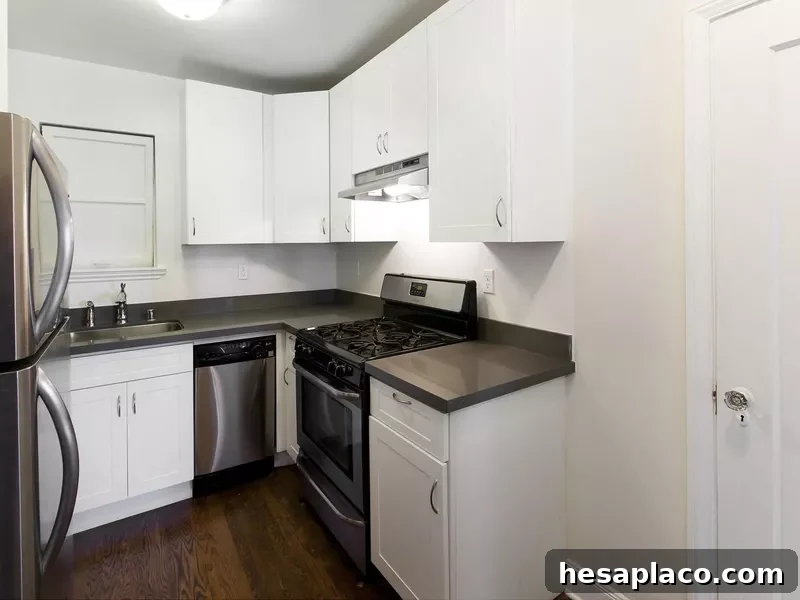 Apartment kitchen