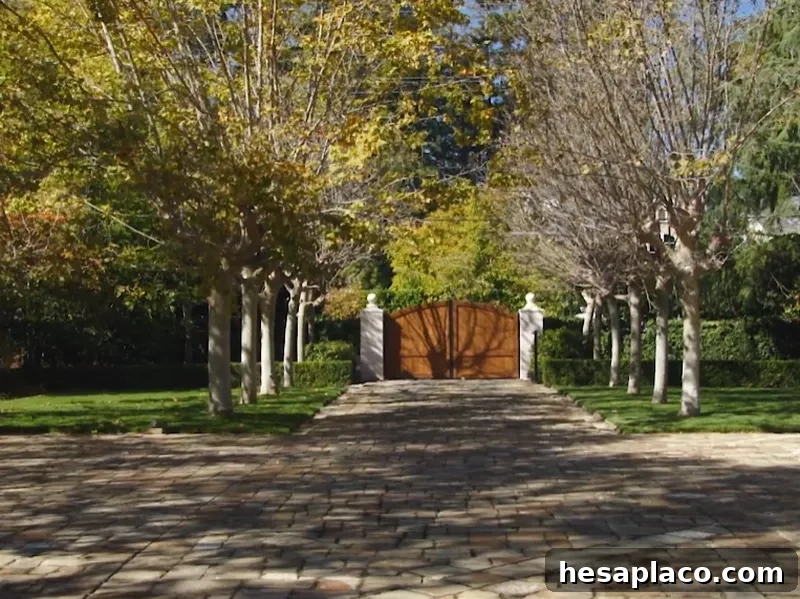 227 Park Lane privacy