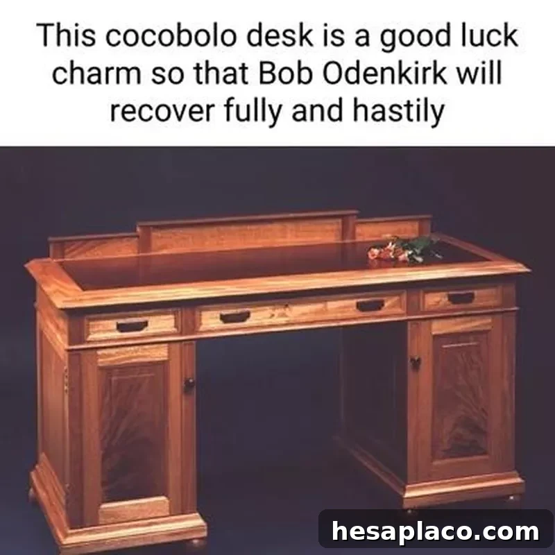 Funniest cocobolo desk memes