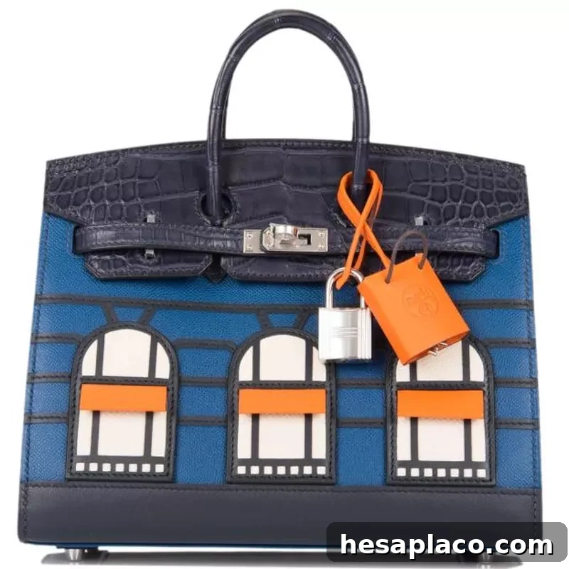 Sac Birkin Faubourg