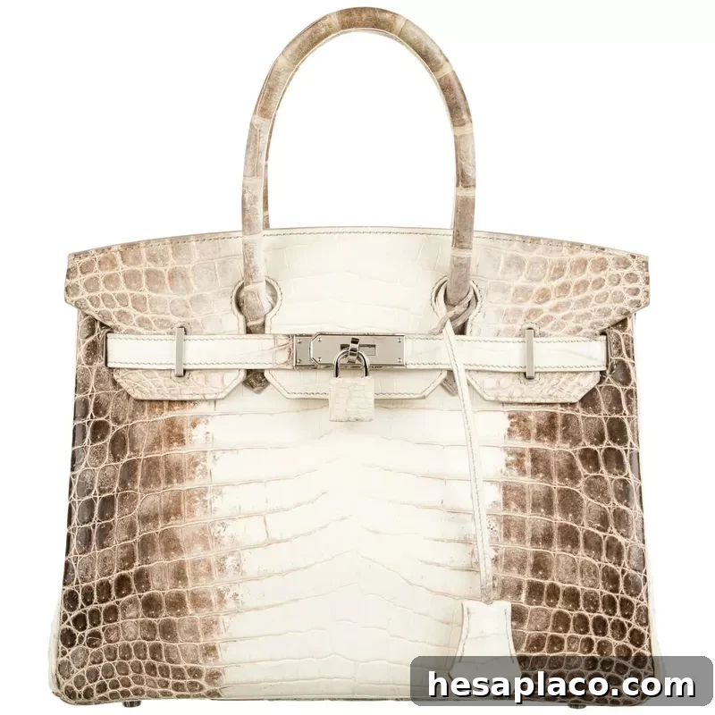Himalaya Birkin