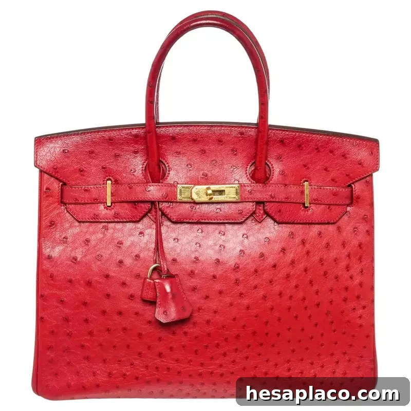 Red Leather Ostrich Birkin