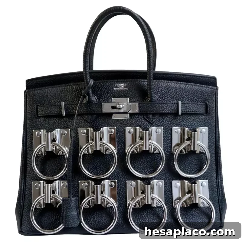 Hitch Birkin