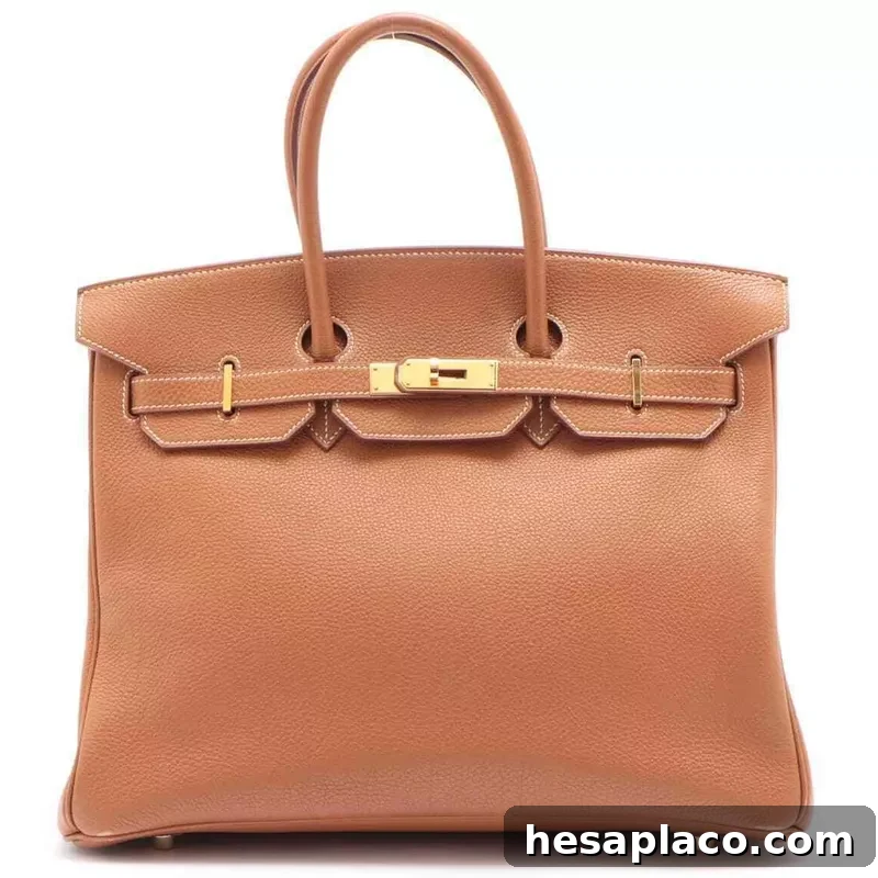 Metallic Birkin
