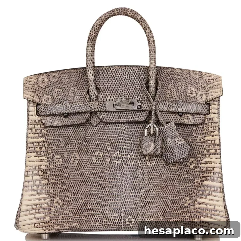 Ombre Birkin