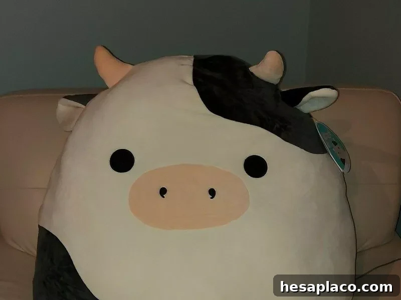 Connor the Cow Rare Squishmallow