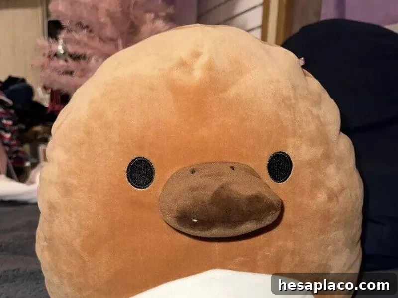Santino the Platypus