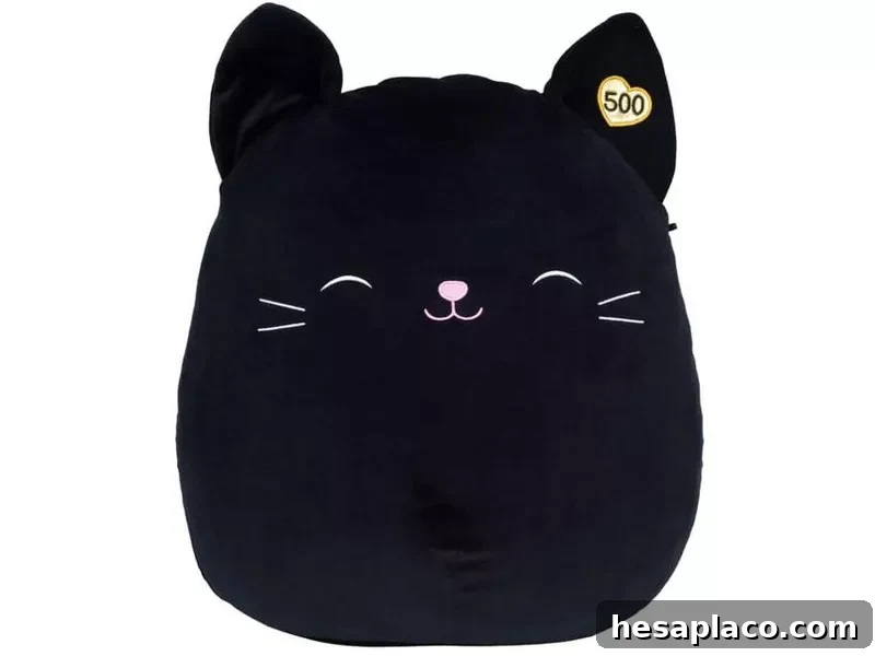 Jack the Black Cat