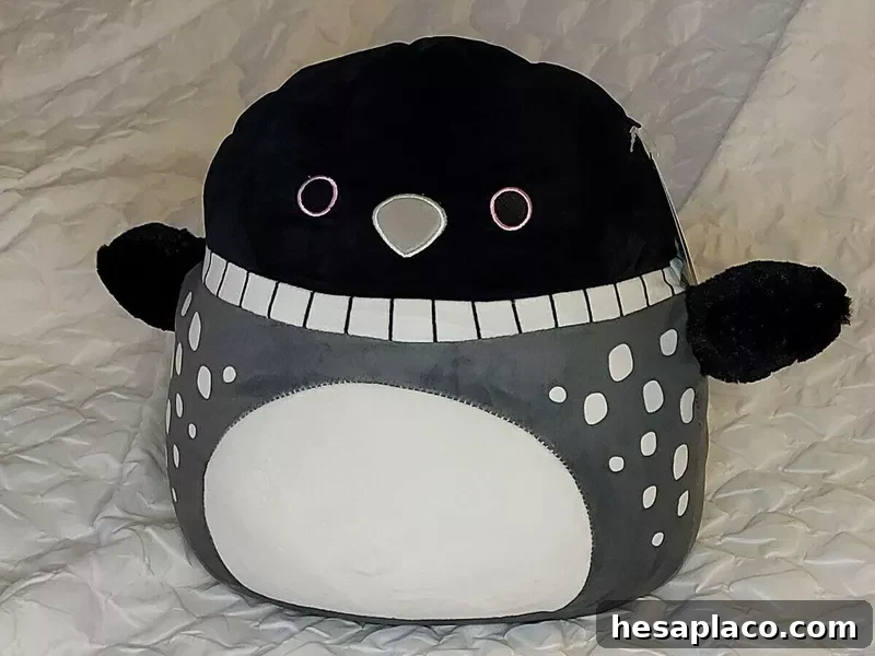 Rare Lenora the Loon Squishmallow