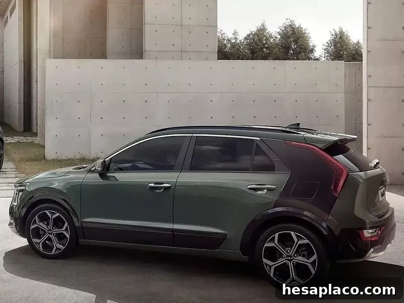 Kia Niro EV