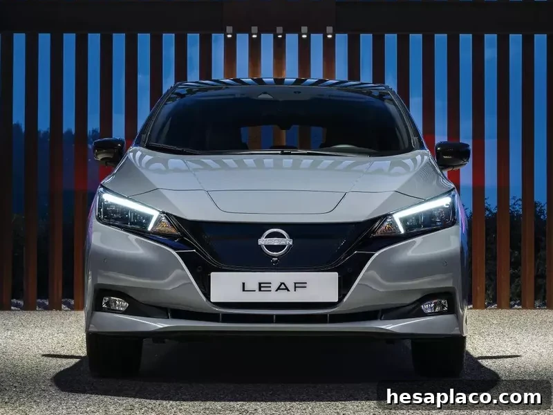 Nissan Leaf 2022