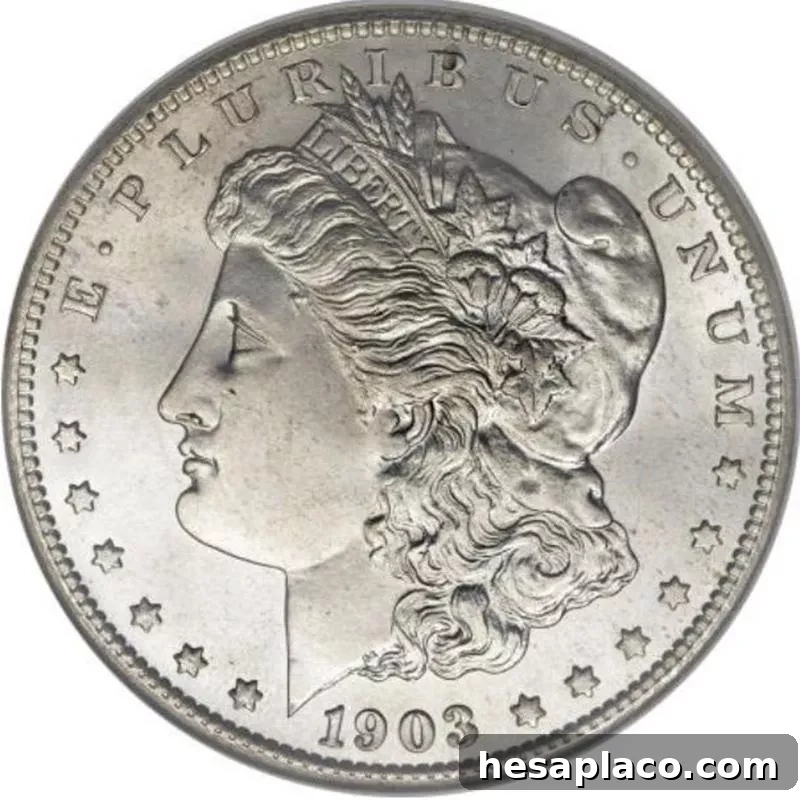 Top 30 Most Valuable Morgan Silver Dollars to Collect 7 1903-S Morgan Silver Dollar front