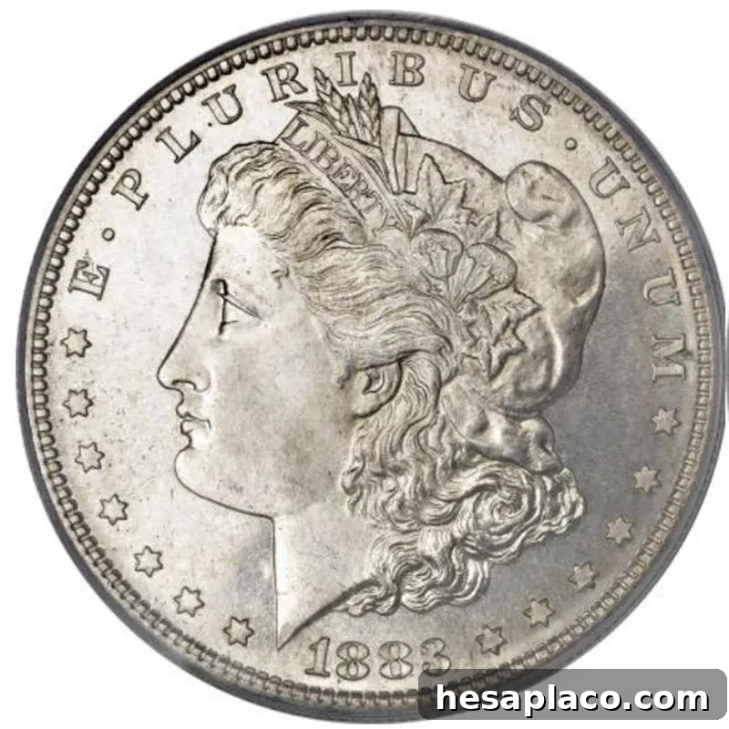 Top 30 Most Valuable Morgan Silver Dollars to Collect 10 1883-S Morgan Silver Dollar front