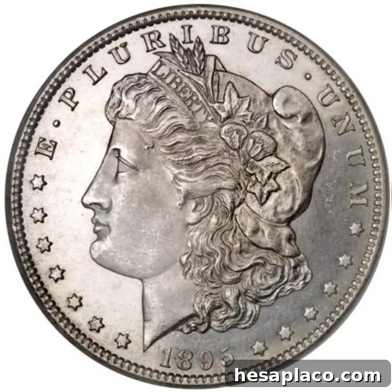 Top 30 Most Valuable Morgan Silver Dollars to Collect 12 1895-S Morgan Silver Dollar front