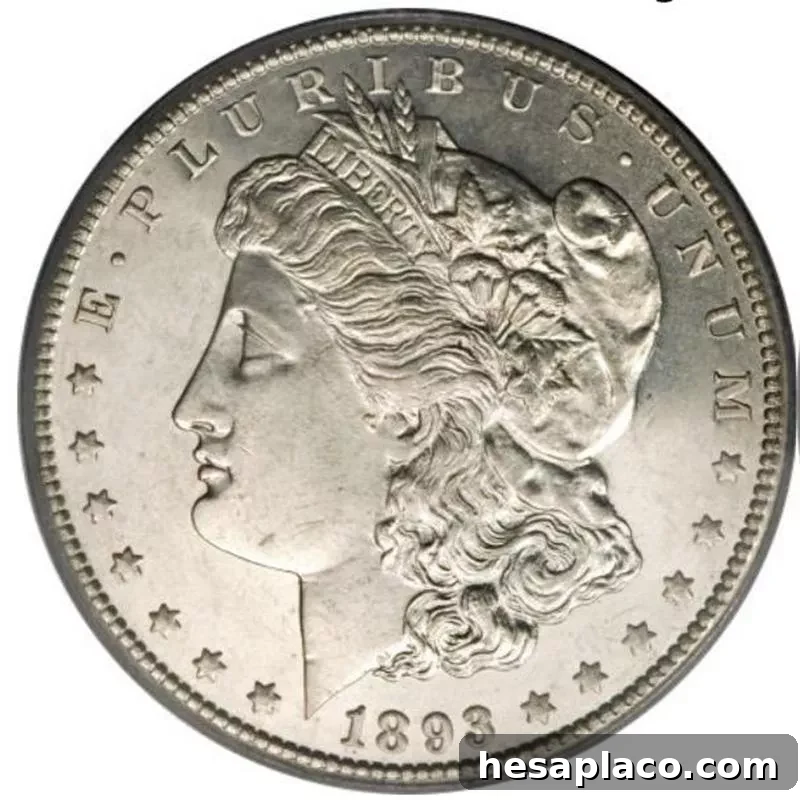 Top 30 Most Valuable Morgan Silver Dollars to Collect 13 1893-CC Morgan Silver Dollar front