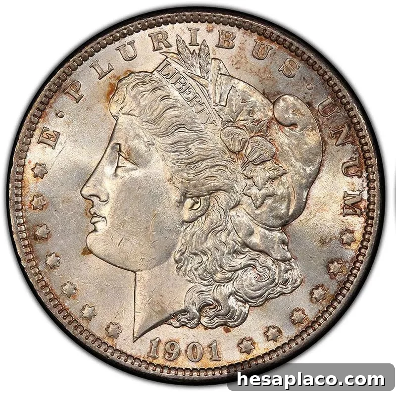 Top 30 Most Valuable Morgan Silver Dollars to Collect 17 1901 Double Die Reverse “Shifted Eagle” Morgan Silver Dollar front