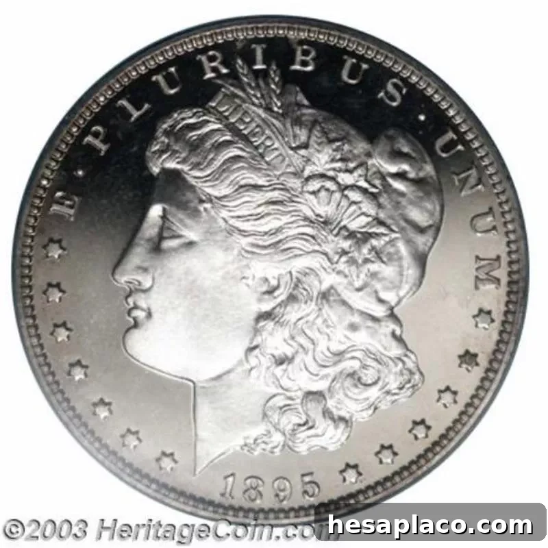 Top 30 Most Valuable Morgan Silver Dollars to Collect 23 1895 Morgan Silver Dollar front