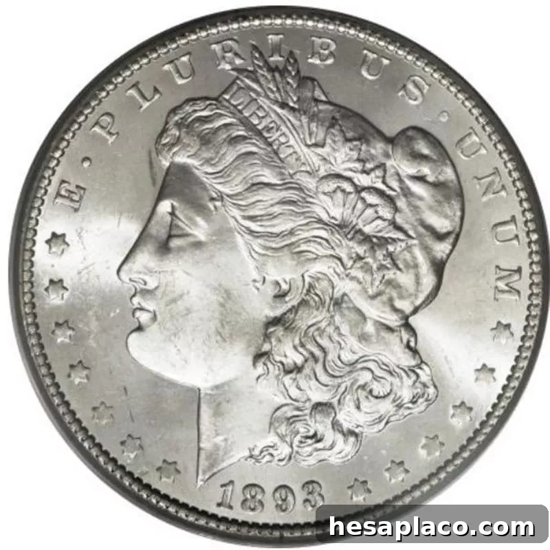 Top 30 Most Valuable Morgan Silver Dollars to Collect 24 1893-O Morgan Silver Dollar front