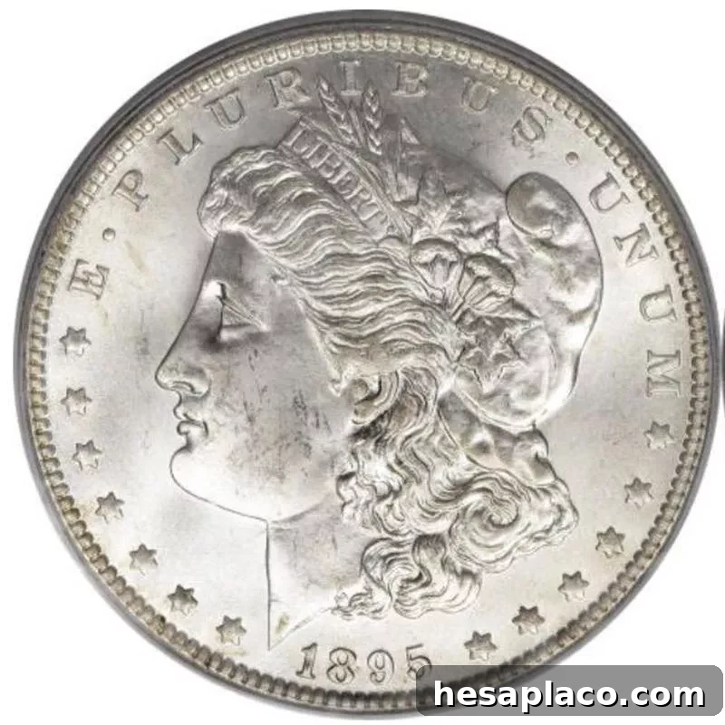 Top 30 Most Valuable Morgan Silver Dollars to Collect 26 1895-O Morgan Silver Dollar front