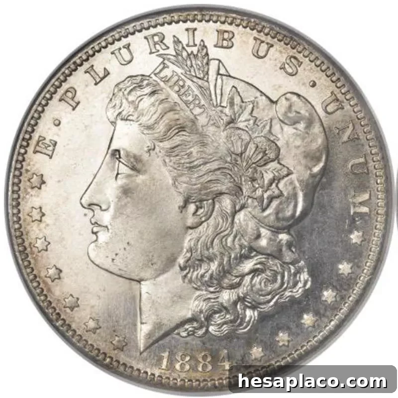Top 30 Most Valuable Morgan Silver Dollars to Collect 27 1884-S Morgan Silver Dollar front