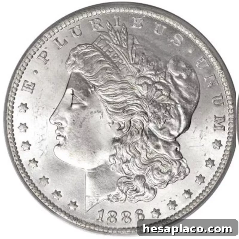 Top 30 Most Valuable Morgan Silver Dollars to Collect 28 1886-O Morgan Silver Dollar front