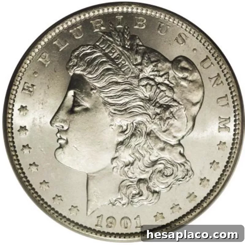 Top 30 Most Valuable Morgan Silver Dollars to Collect 29 1901 Unmarked Morgan Silver Dollar front