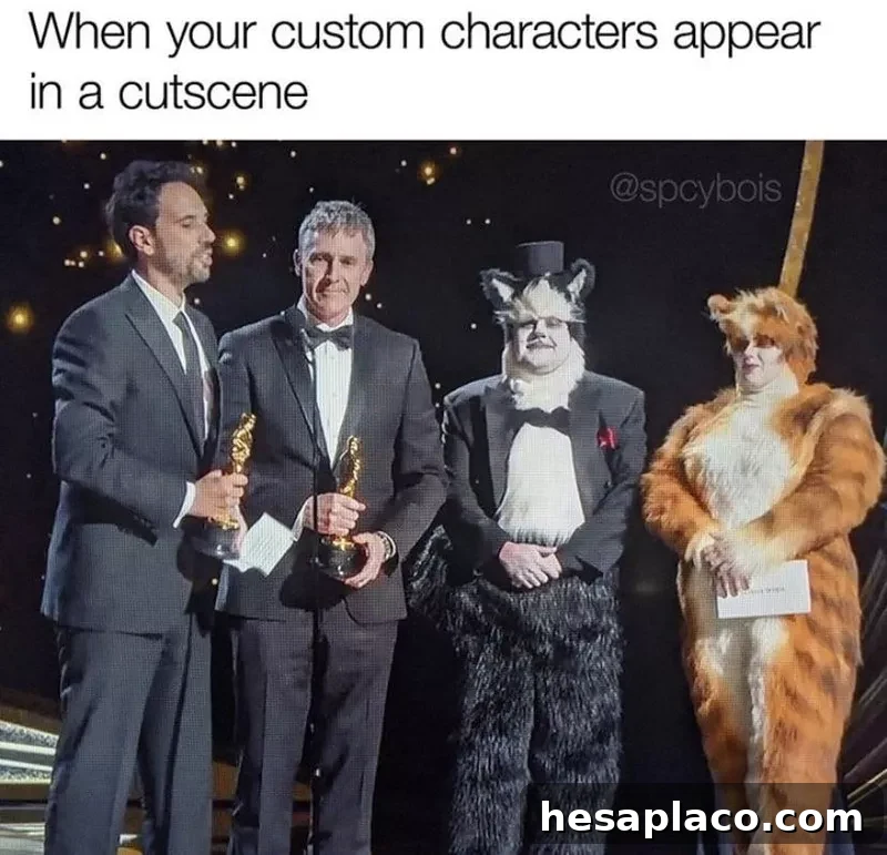 Cats meme