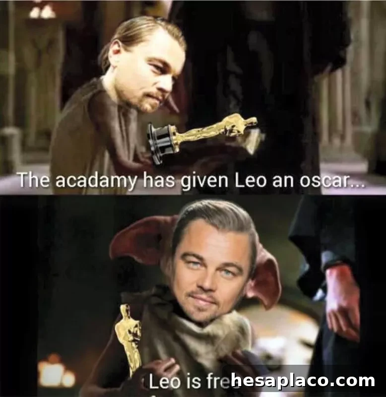 Leo gets an oscar