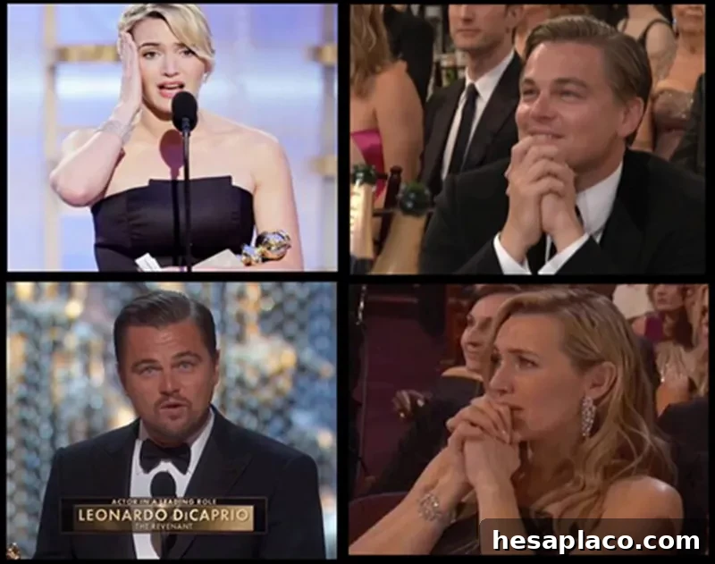 Kate winslet