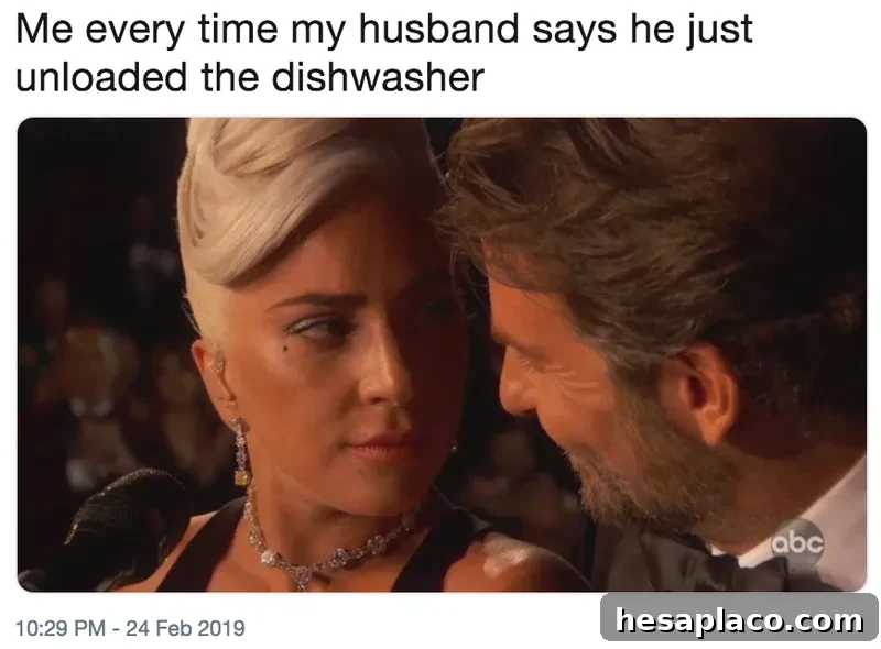 lady gaga meme