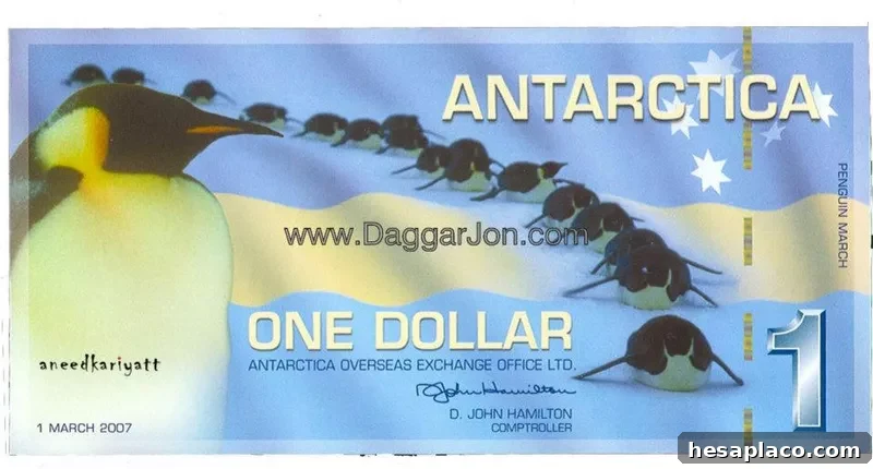 One Antarctica dollar