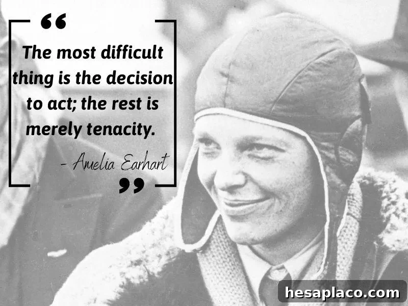 Amelie Earhart quote