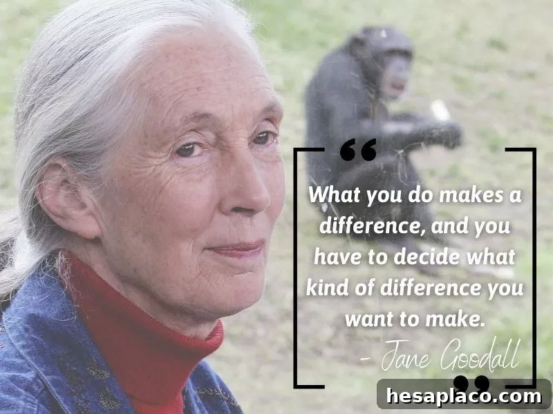 Jane Goodall quote
