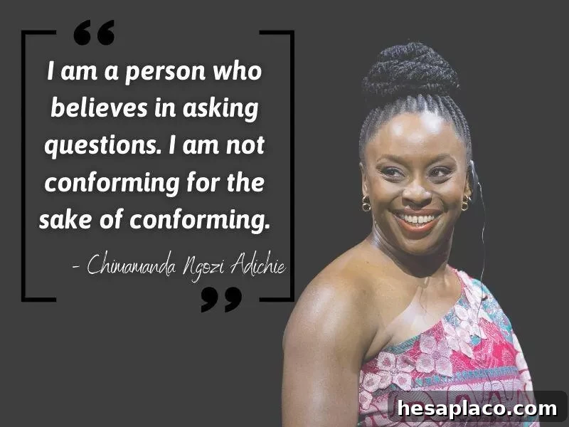 Chimamanda Ngozi Adichie quote