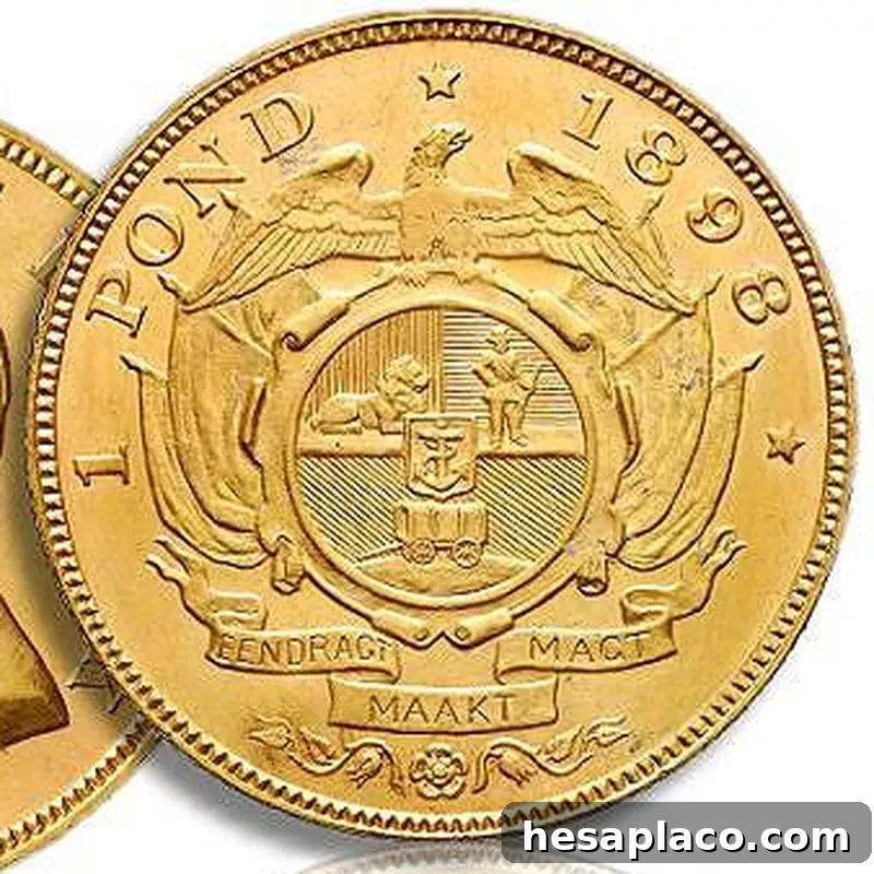 1899 King of South African Coin