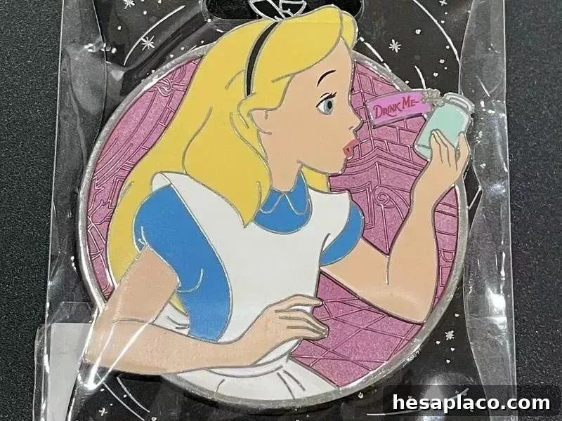 Alice in Wonderland Pin