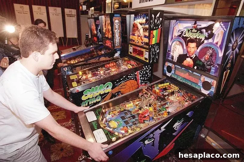 Pinball machine player