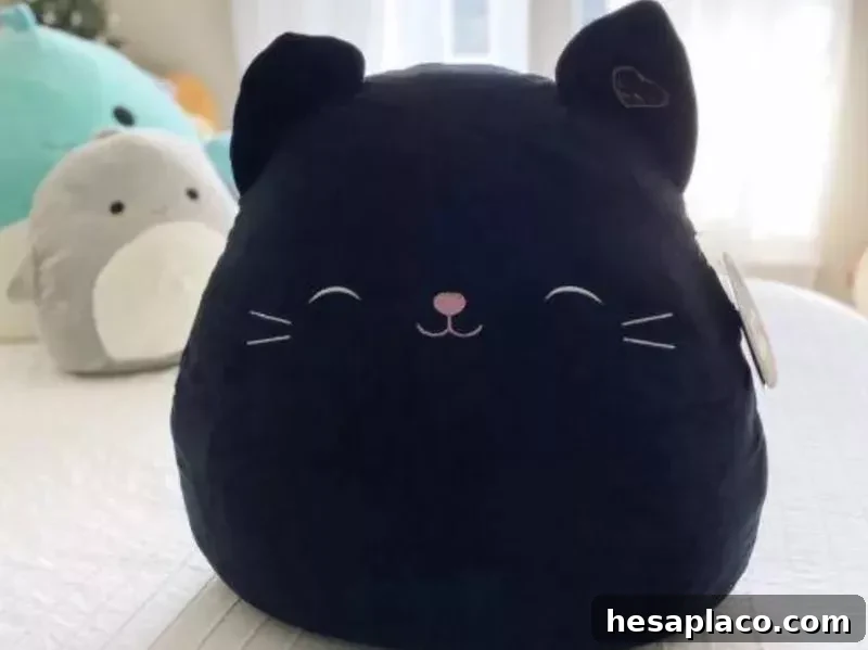 Jack the Black Cat 16-inch rare Squishmallow
