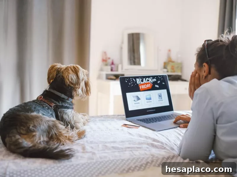 Online mystery shopper working with dog