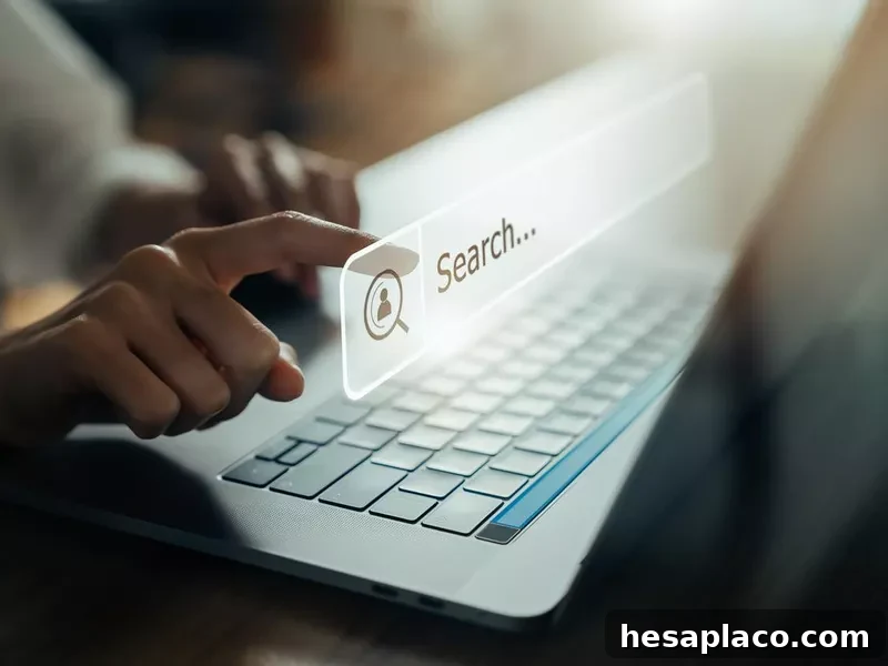 Search engine evaluator