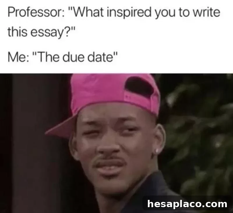 Writing an essay