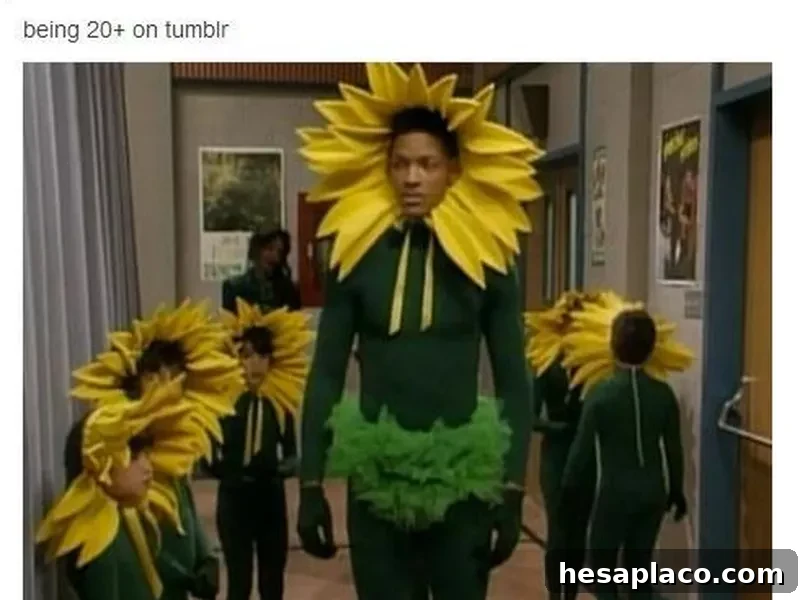 Tumblr meme