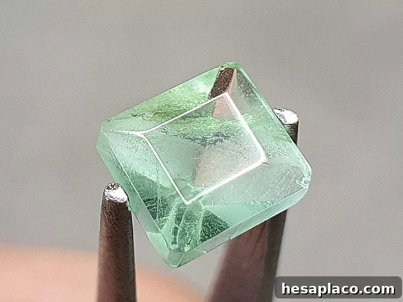 Green Fluorite