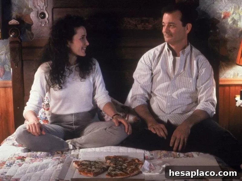 30 Essential Time Travel Movies You Must Watch 28 Groundhog Day