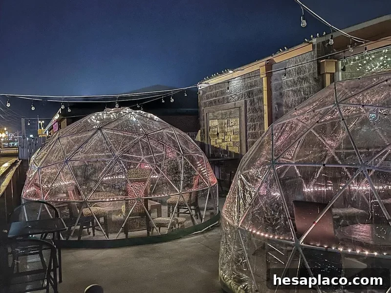 The Wine Down igloos