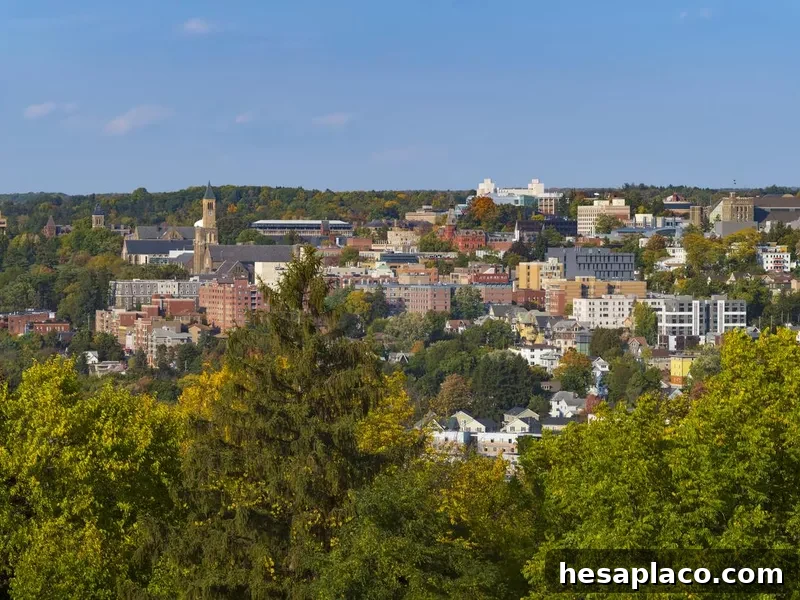 Cornell University, Ithaca NY