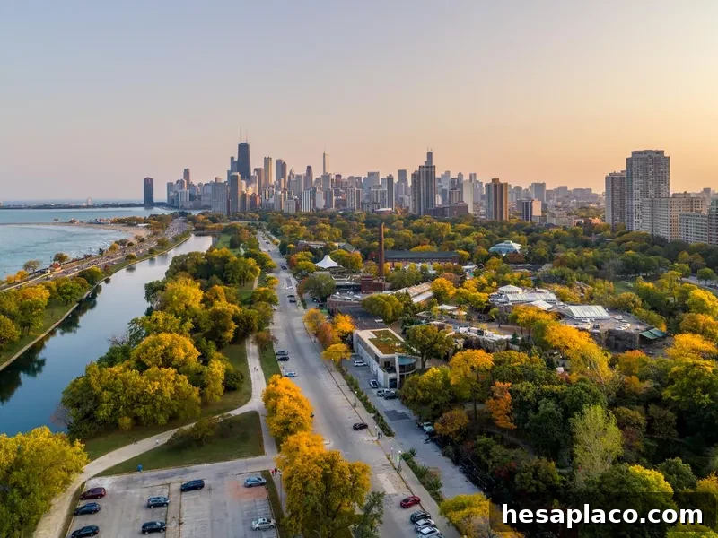 Fall in Lincoln Park, Chicago