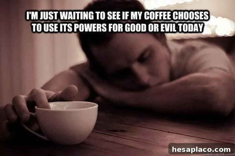 Funny coffee meme